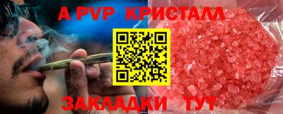 прущие грибы Можга
