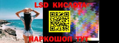 прущие грибы Можга