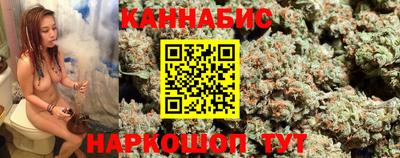 прущие грибы Можга