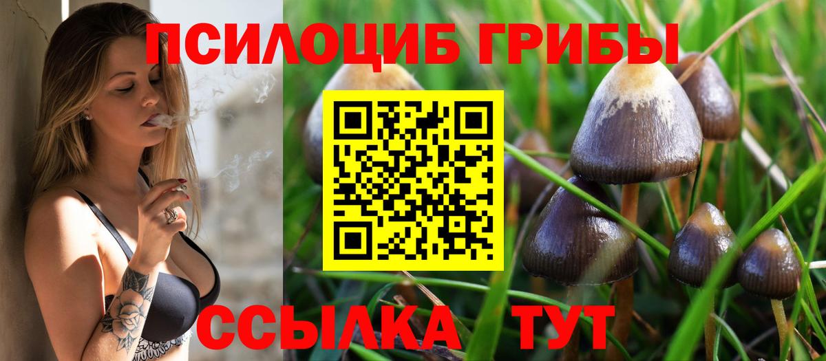 Галлюциногенные грибы Psilocybe Верхняя Пышма