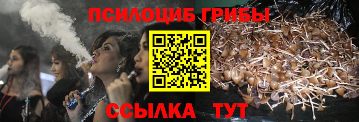дарнет шоп  Вход с VPN  Верхняя Пышма  Псилоцибиновые грибы Magic Shrooms 